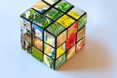 Artenschwund, Verlust von Bodenfruchtbarkeit und Klimawandel mit dramatischen Folgen im Norden und im Süden: Im sogenannt «modernen» Agrarsystem ist der Wurm drin. Der Welternährungstag bot Gelegenheit, über Lösungsmodelle zu diskutieren, die die Agrarökologie bietet; für Regierungen, Organisationen und jeden einzelnen von uns.